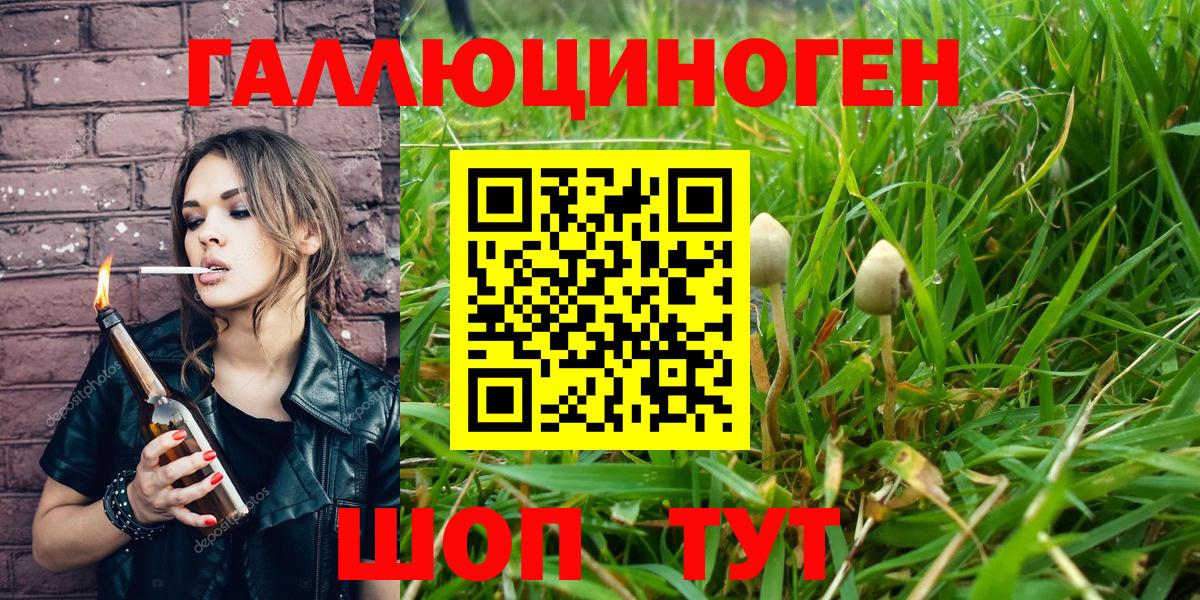 Майский  Галлюциногенные грибы прущие грибы  Вход с VPN 