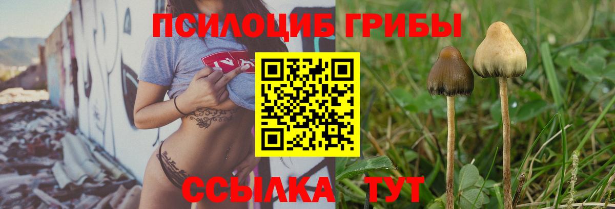 Майский  ГАШ  МДМА  МЕФ   Бошки Шишки  Вход с VPN  Кокаин 